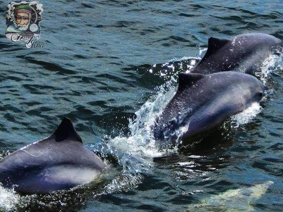 Pousada Del Mar Илья-Комприда Экстерьер фото